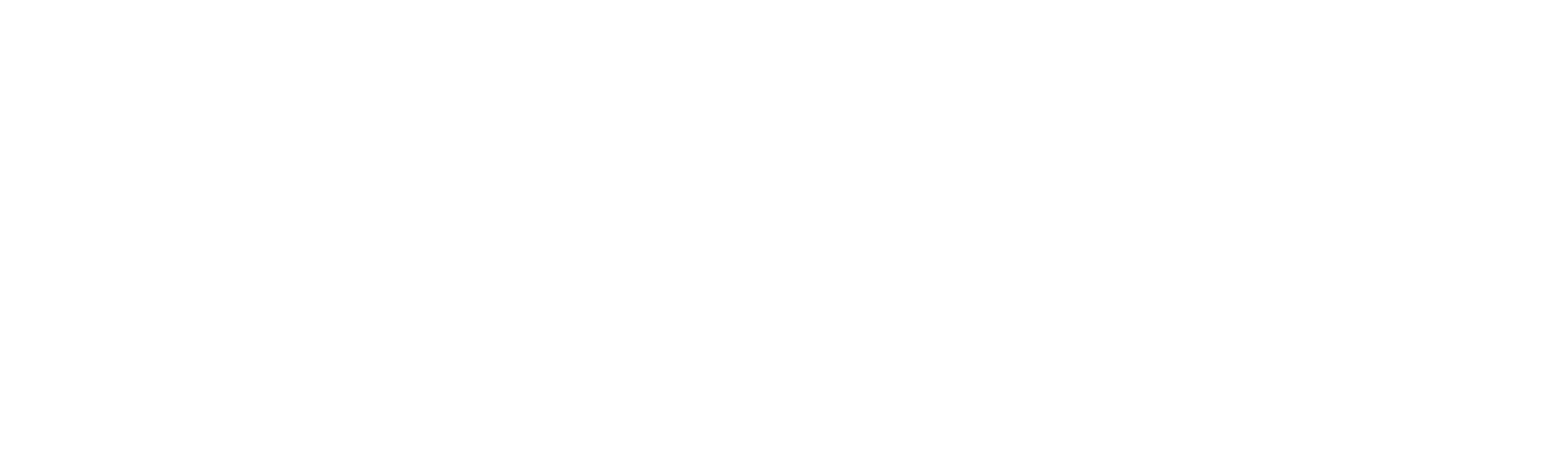 Western Digital logo fulle size on a dark background (transparent PNG)