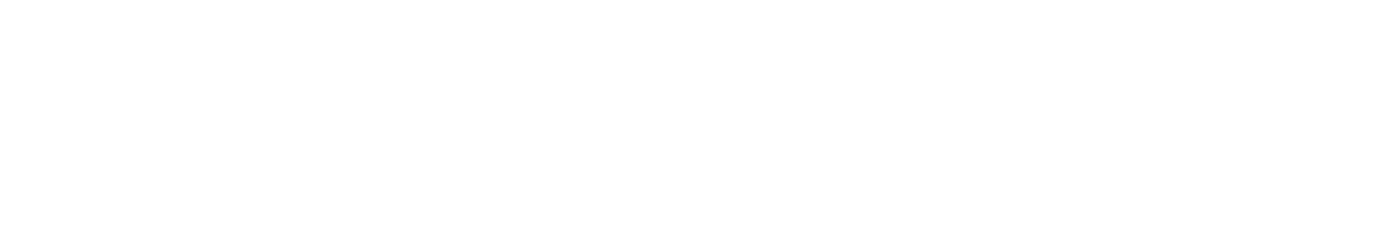 Welspun India logo fulle size on a dark background (transparent PNG)
