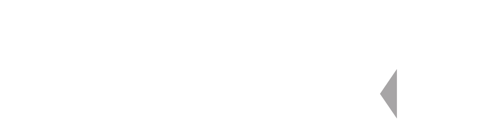 WEX Logo groß für dunkle Hintergründe (transparentes PNG)