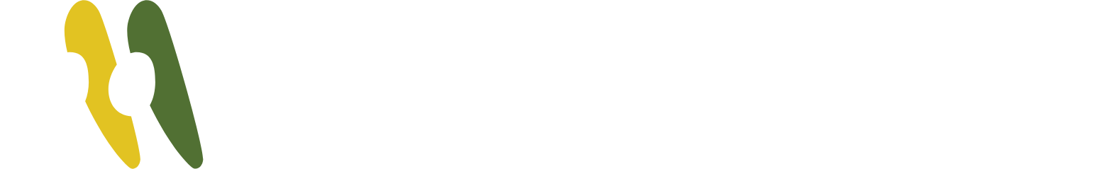 Westgold Resources Limited logo fulle size on a dark background (transparent PNG)