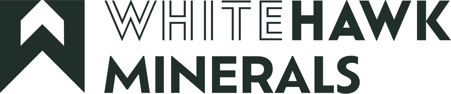 WhiteHawk Minerals Corp logo large (transparent PNG)