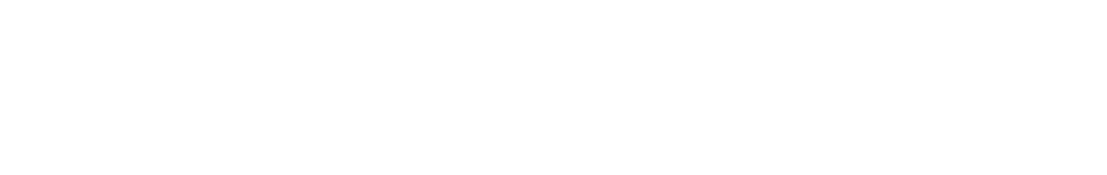 Wienerberger logo fulle size on a dark background (transparent PNG)