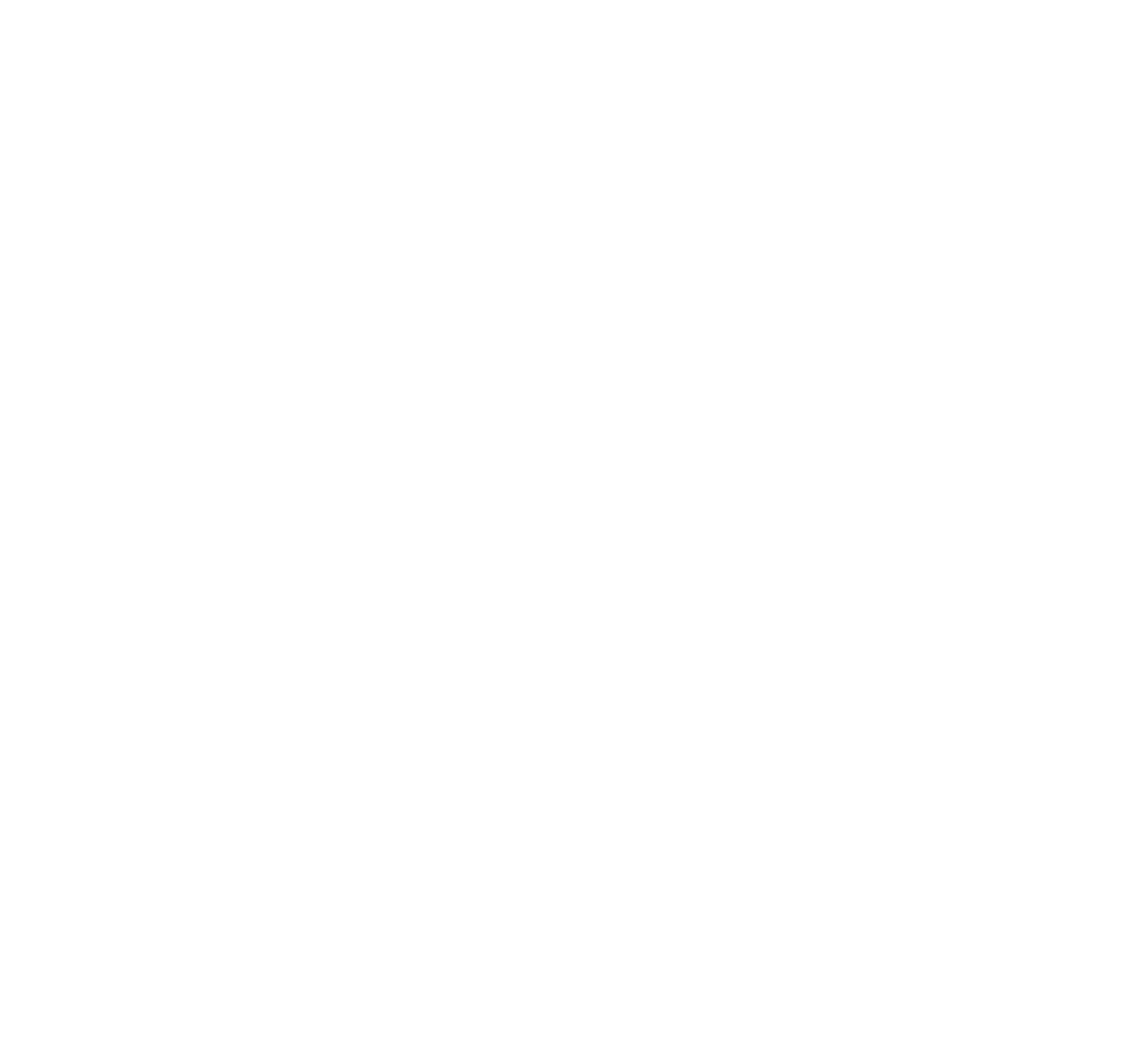 Willis Lease Finance Corporation logo on a dark background (transparent PNG)