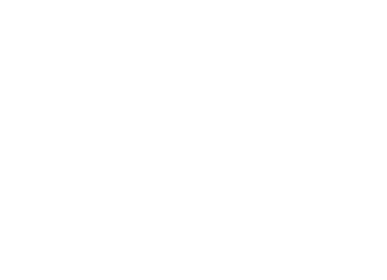 Wielton logo on a dark background (transparent PNG)