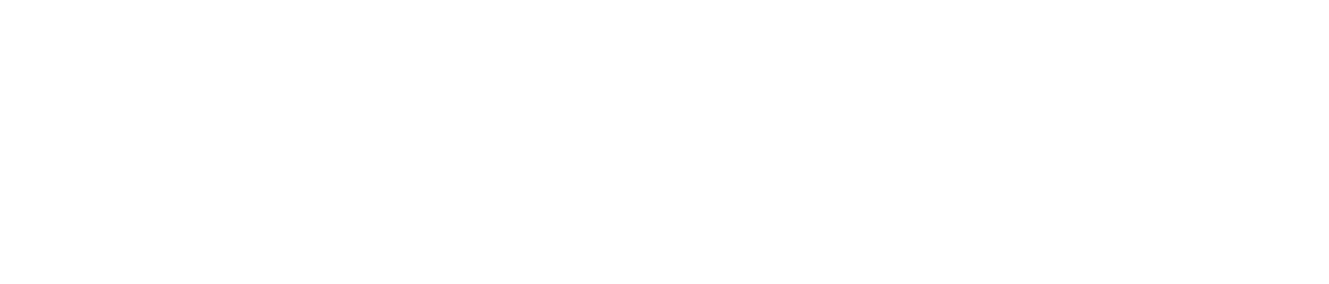 Wielton logo fulle size on a dark background (transparent PNG)