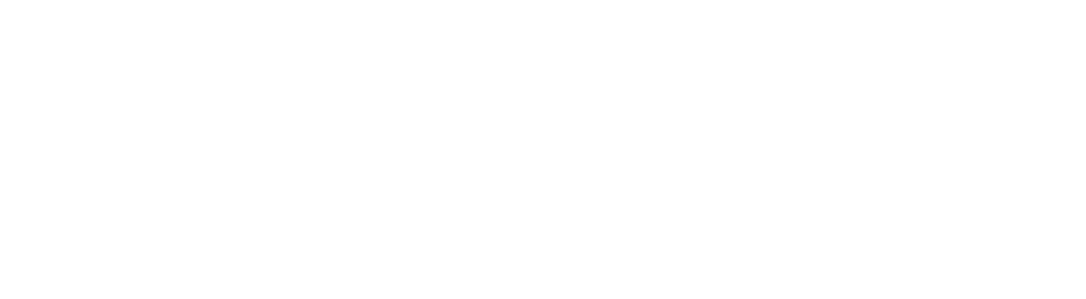 Woolworths Group logo fulle size on a dark background (transparent PNG)