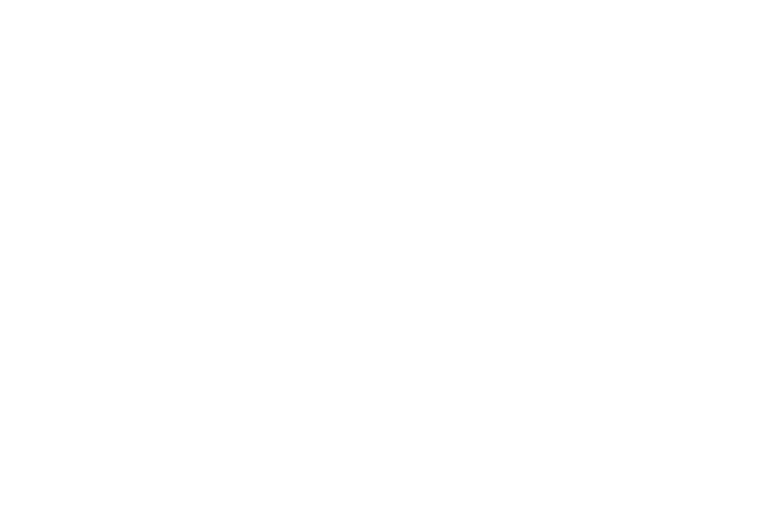 WPP logo pour fonds sombres (PNG transparent)