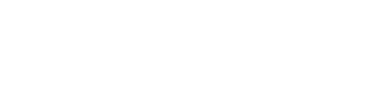 WPP logo grand pour les fonds sombres (PNG transparent)
