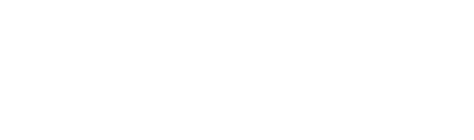 W. R. Berkley logo grand pour les fonds sombres (PNG transparent)