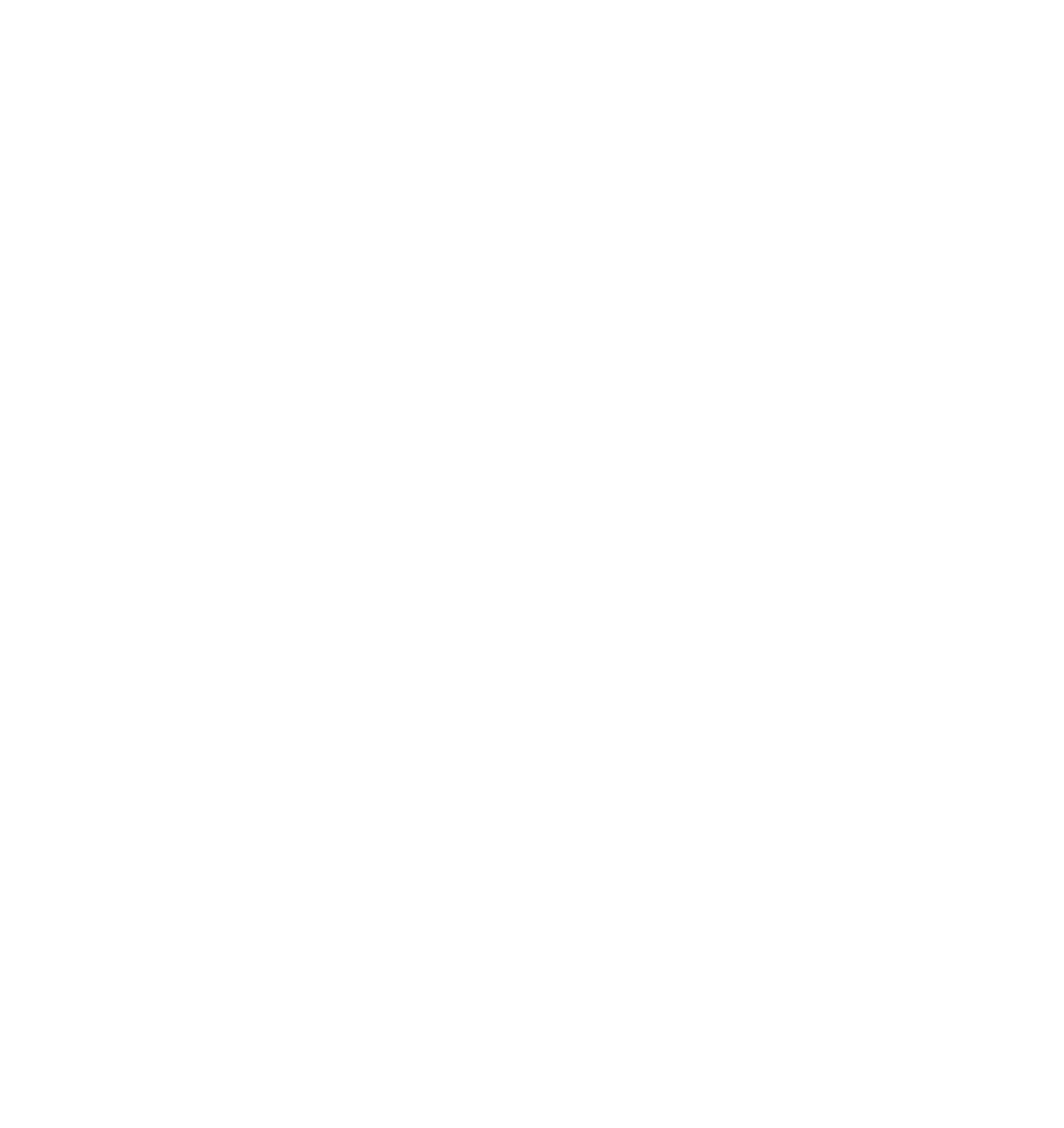 WeRide logo pour fonds sombres (PNG transparent)