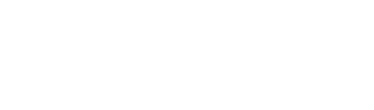 WillScot logo for dark backgrounds (transparent PNG)