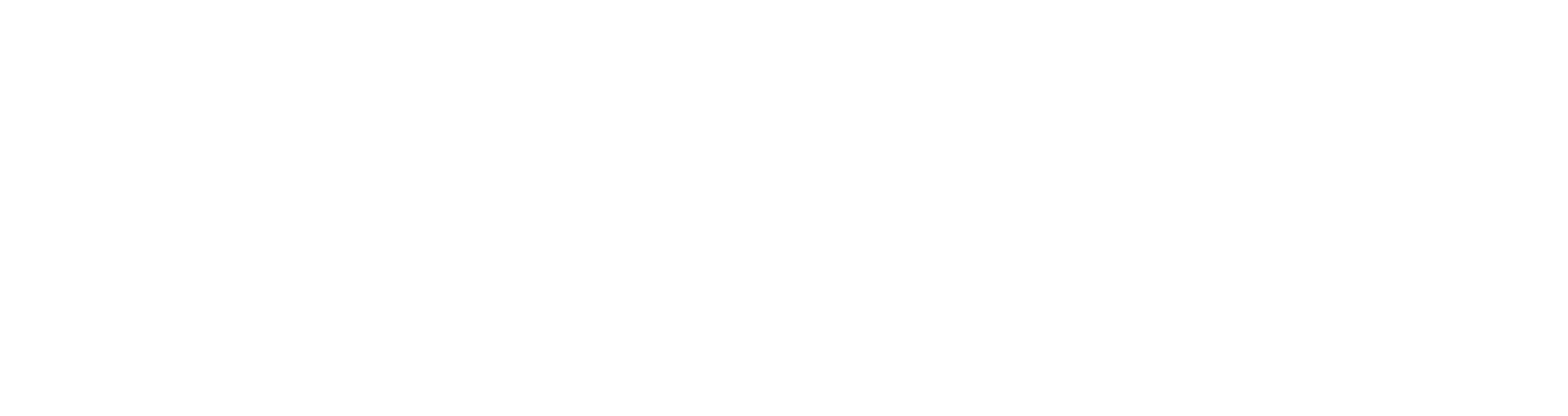 WSFS Financial logo for dark backgrounds (transparent PNG)