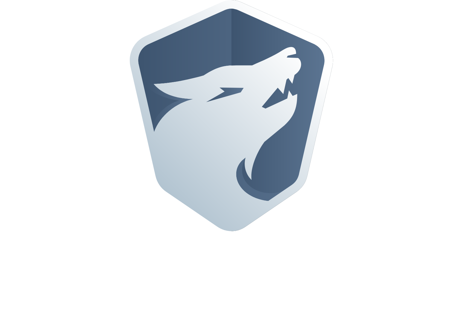 TeraWulf logo fulle size on a dark background (transparent PNG)