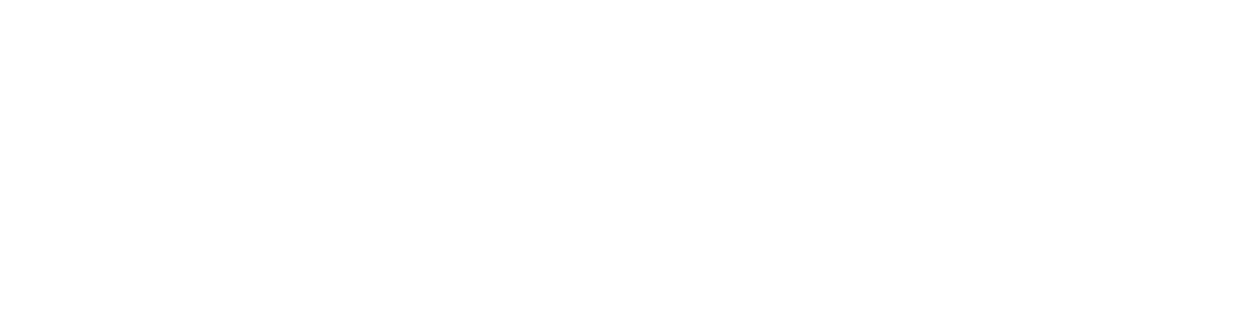XPEL logo large for dark backgrounds (transparent PNG)