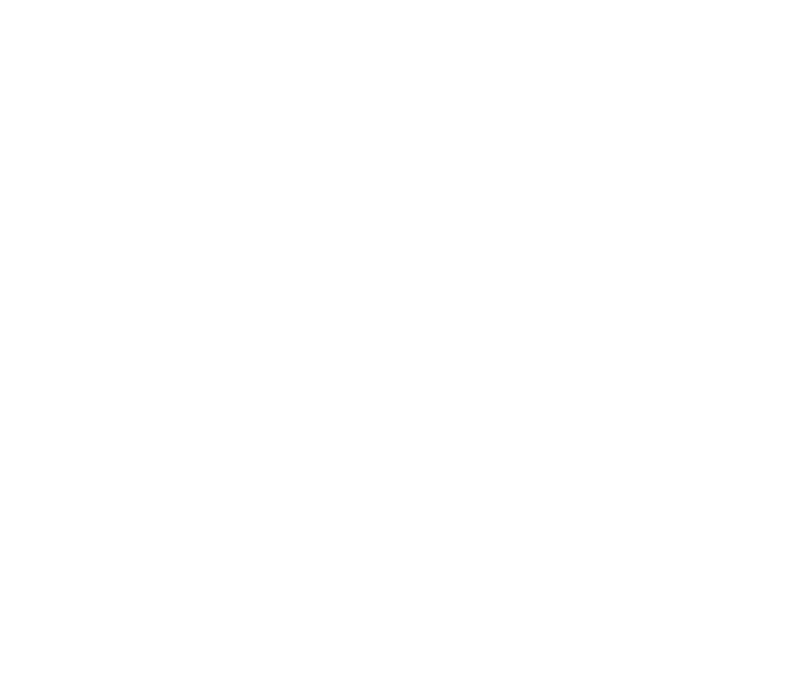 Evernorth Holdings logo on a dark background (transparent PNG)
