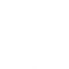 YanGuFang International Group logo pour fonds sombres (PNG transparent)