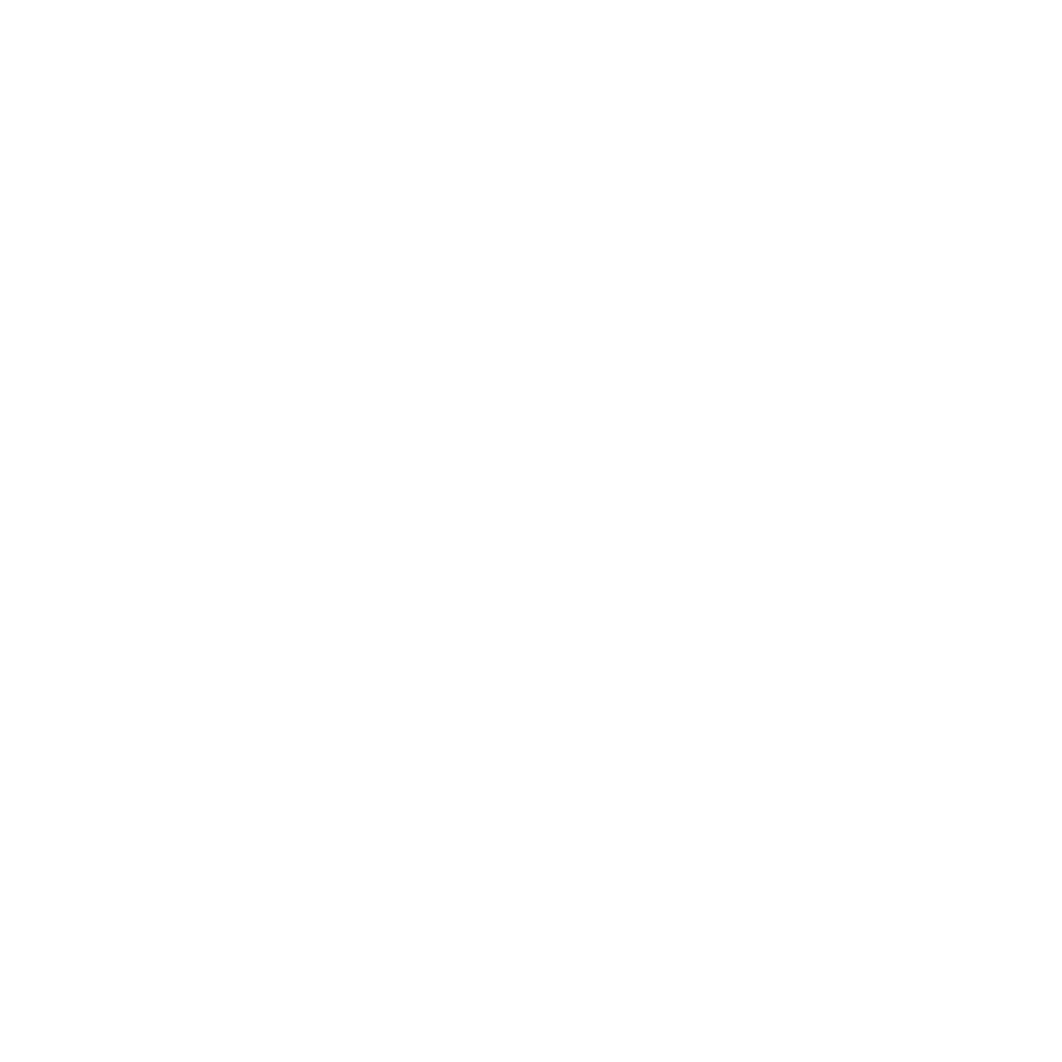 Youlife Group Inc. logo on a dark background (transparent PNG)