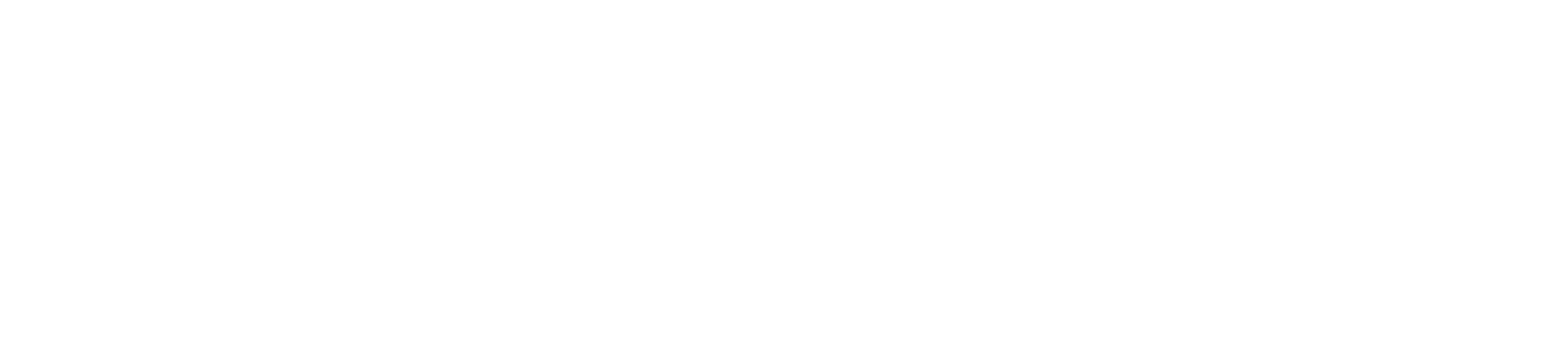 Zoom Logo für dunkle Hintergründe (transparentes PNG)