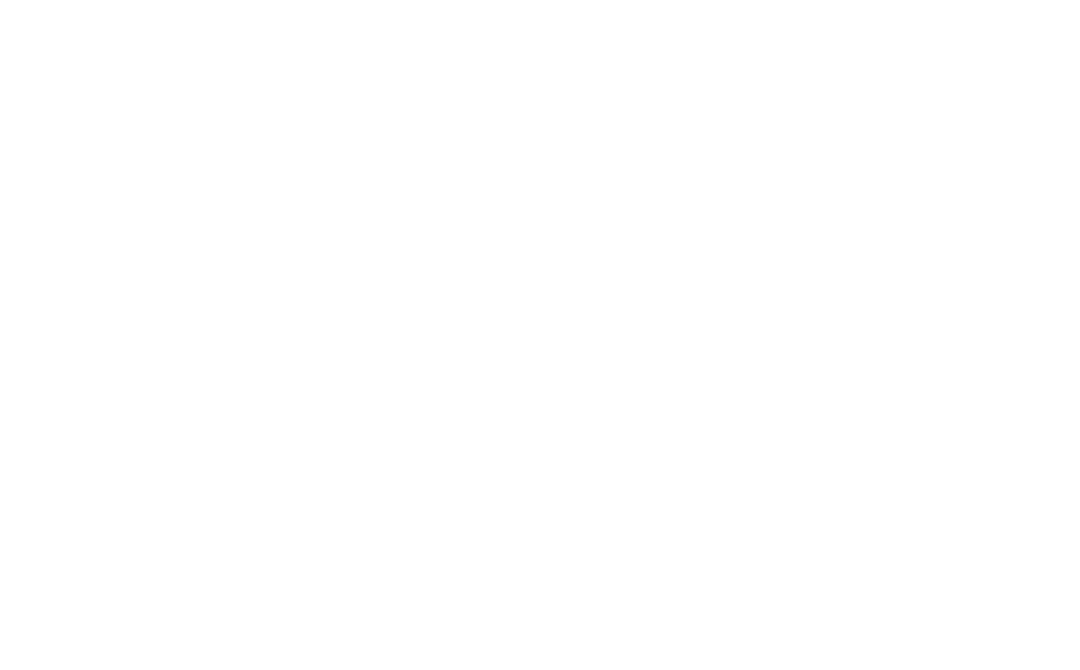Zscaler Logo für dunkle Hintergründe (transparentes PNG)