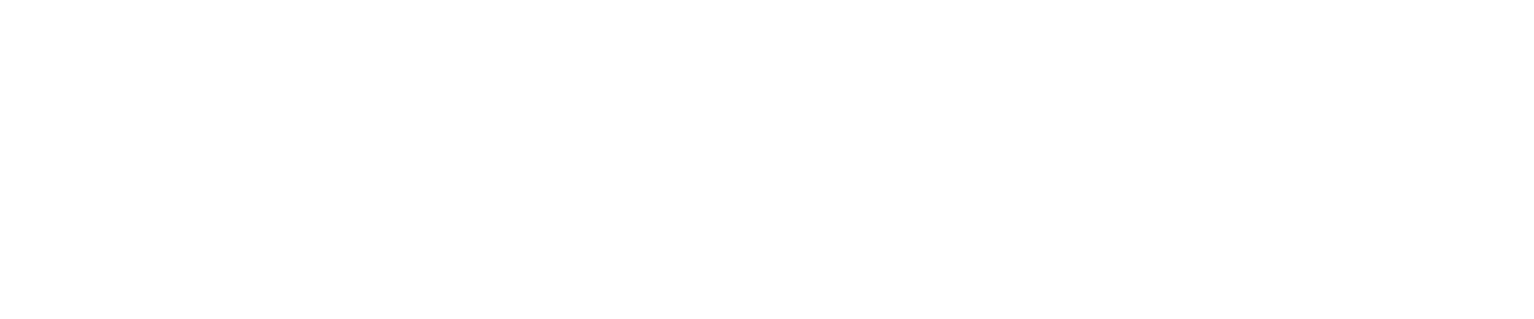 Zscaler Logo groß für dunkle Hintergründe (transparentes PNG)