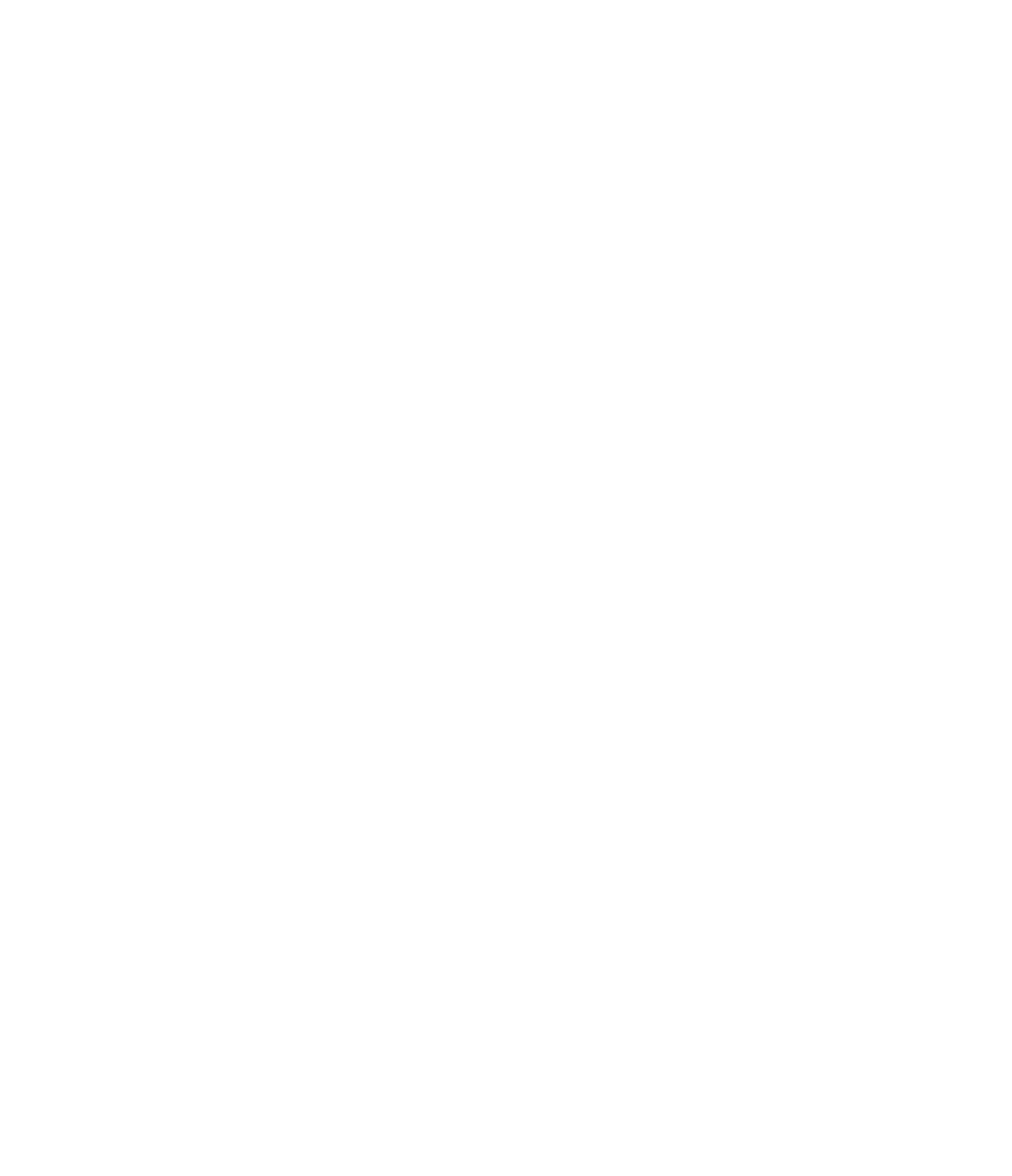 Züblin Immobilien logo pour fonds sombres (PNG transparent)