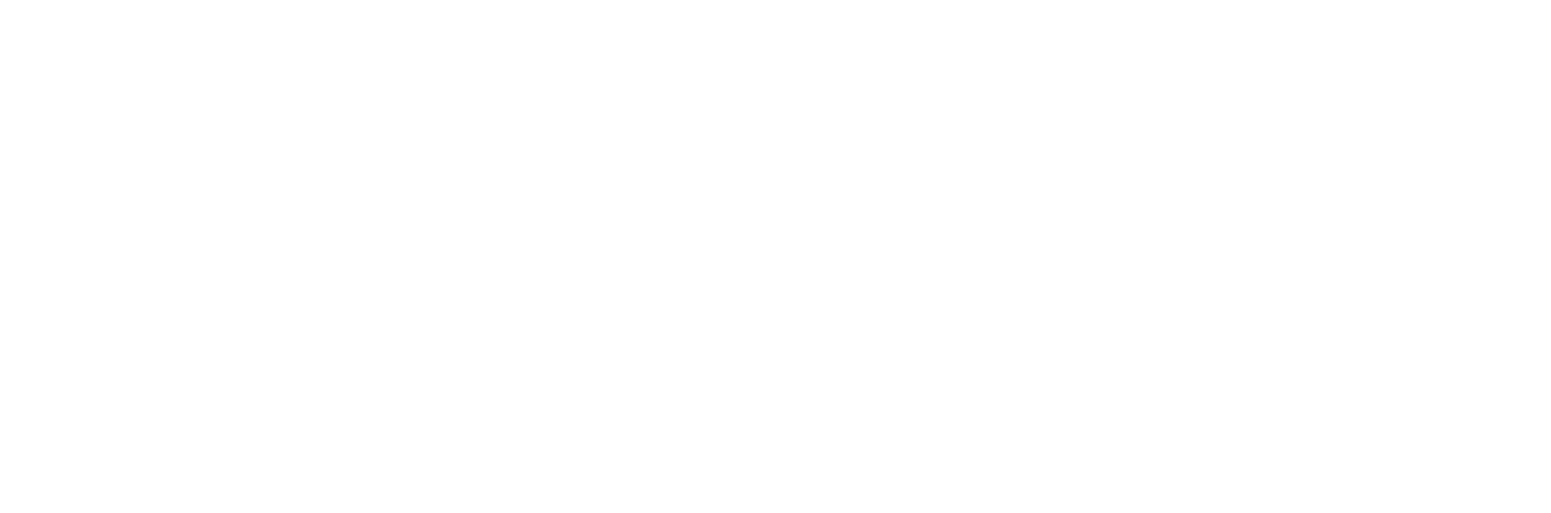 Züblin Immobilien logo grand pour les fonds sombres (PNG transparent)