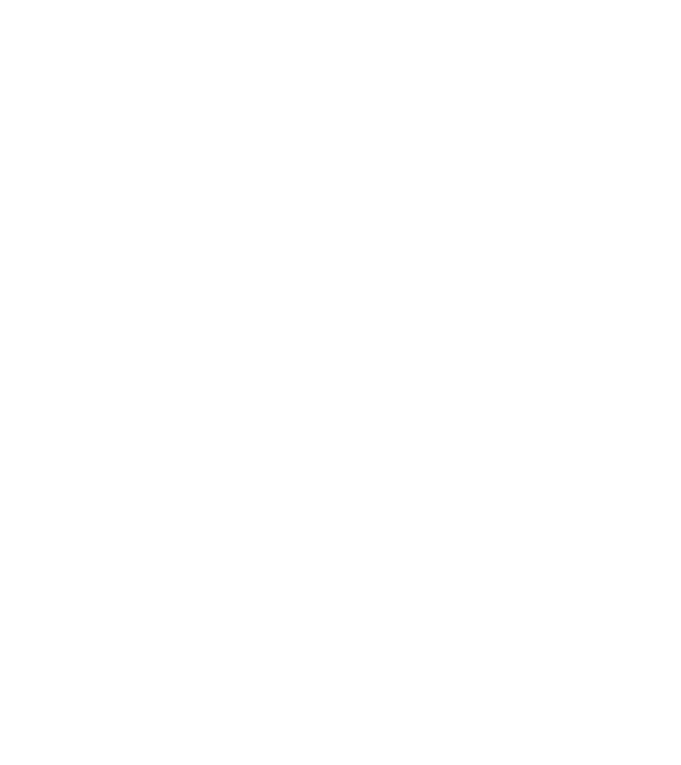 Bitwise logo on a dark background (transparent PNG)