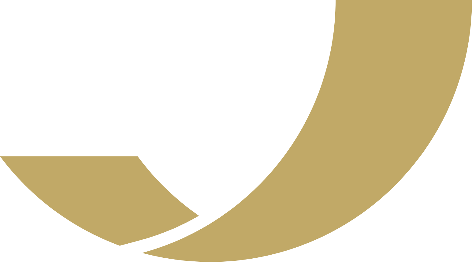 Simplify Asset Management logo (transparent PNG)