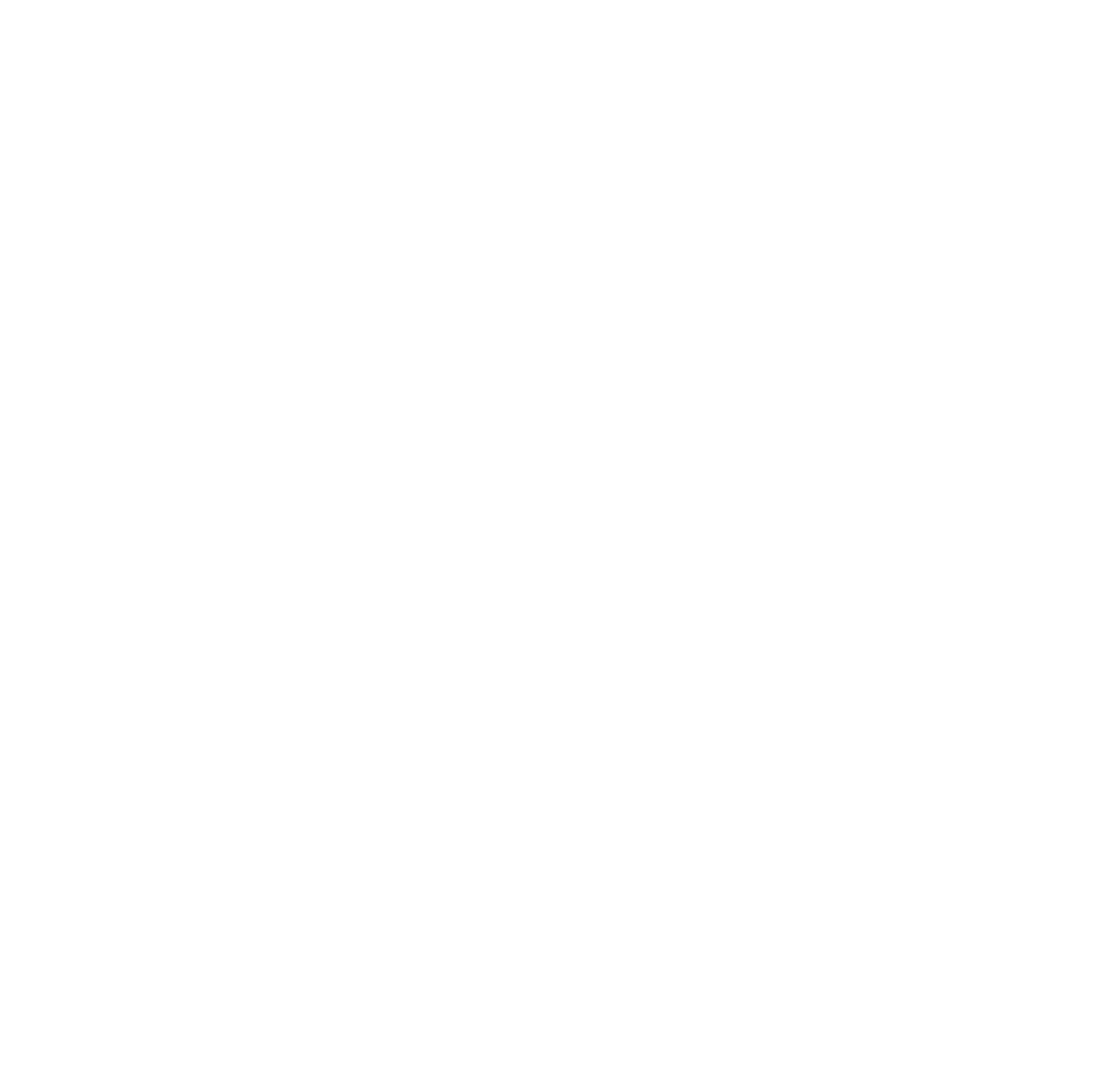 Tortoise Capital logo on a dark background (transparent PNG)